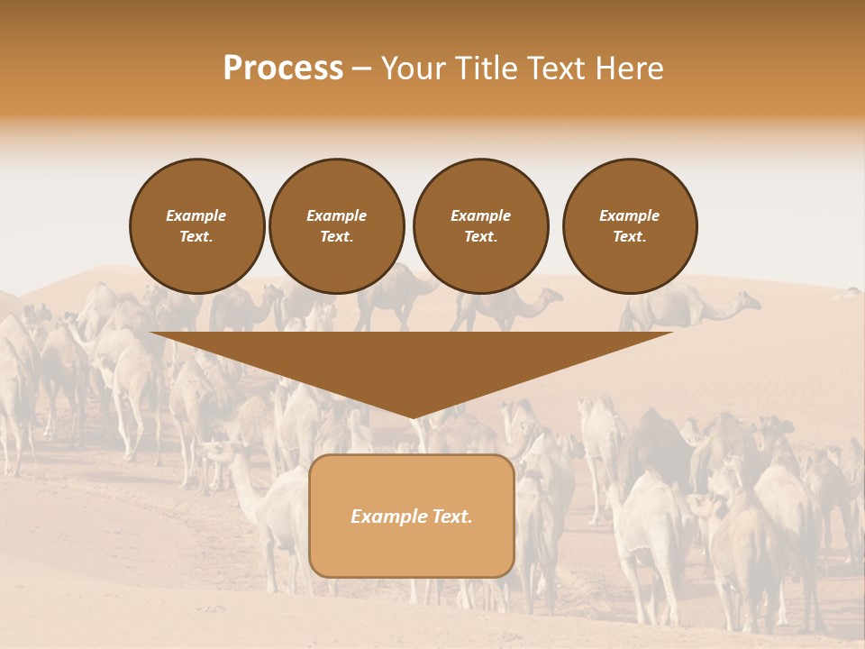 Dunes Wildlife Desert PowerPoint Template