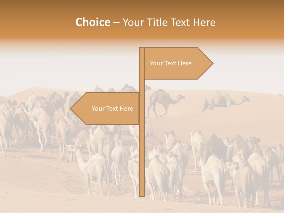 Dunes Wildlife Desert PowerPoint Template