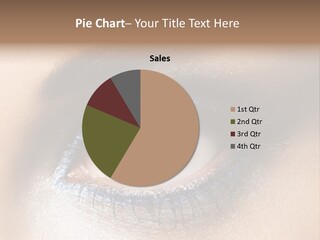 Cosmetic Glamour Macro PowerPoint Template