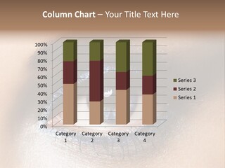 Cosmetic Glamour Macro PowerPoint Template