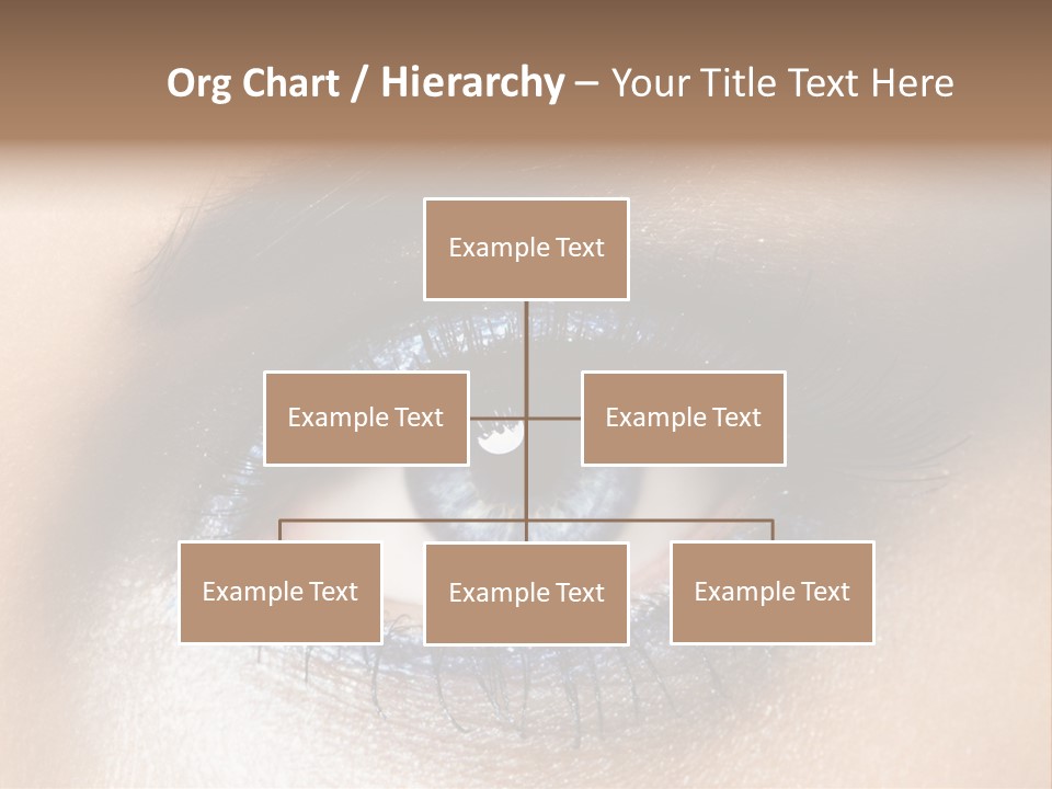 Cosmetic Glamour Macro PowerPoint Template