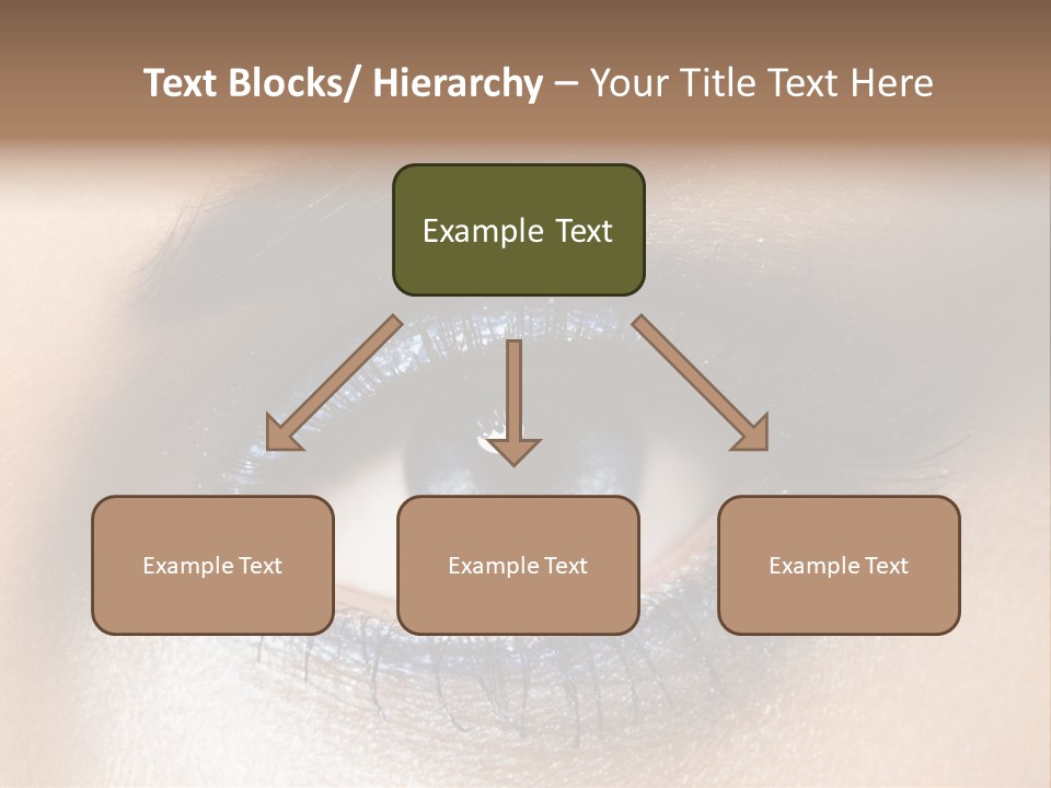 Cosmetic Glamour Macro PowerPoint Template