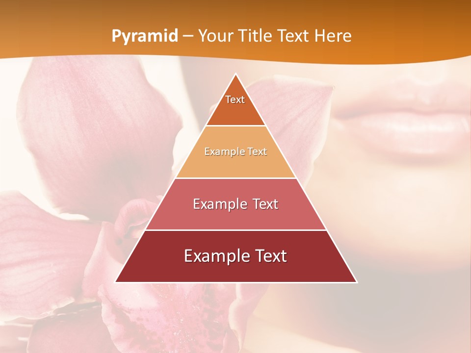 Aroma Pink Model PowerPoint Template