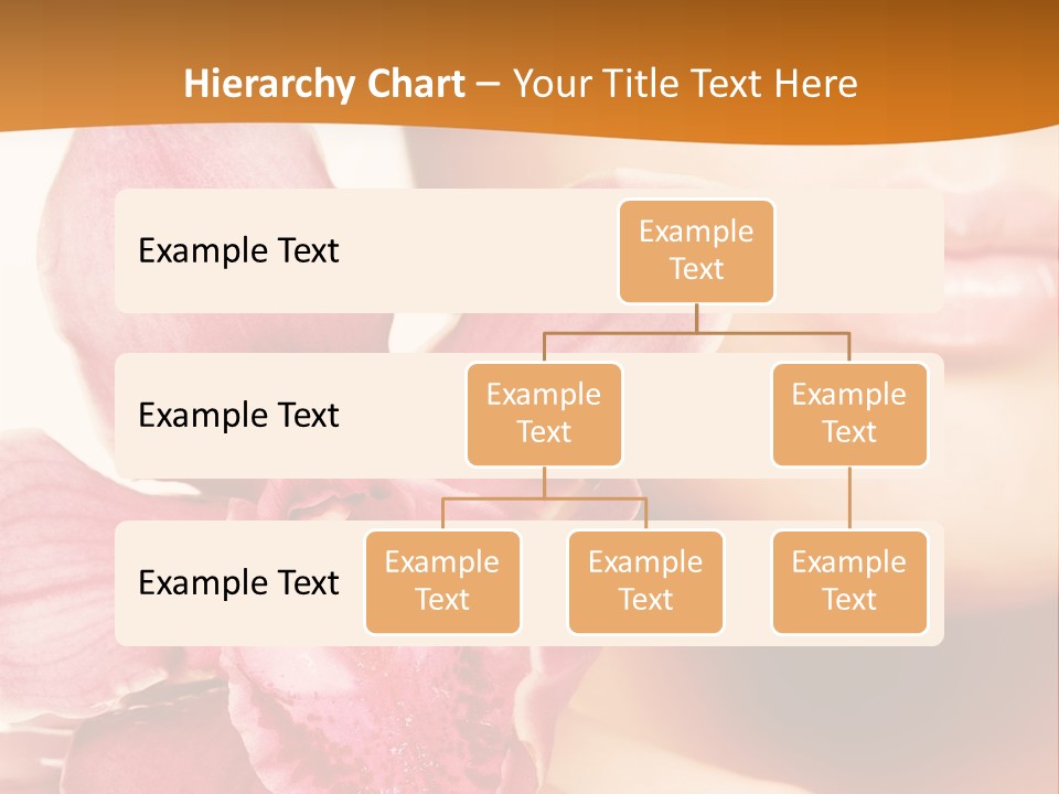 Aroma Pink Model PowerPoint Template