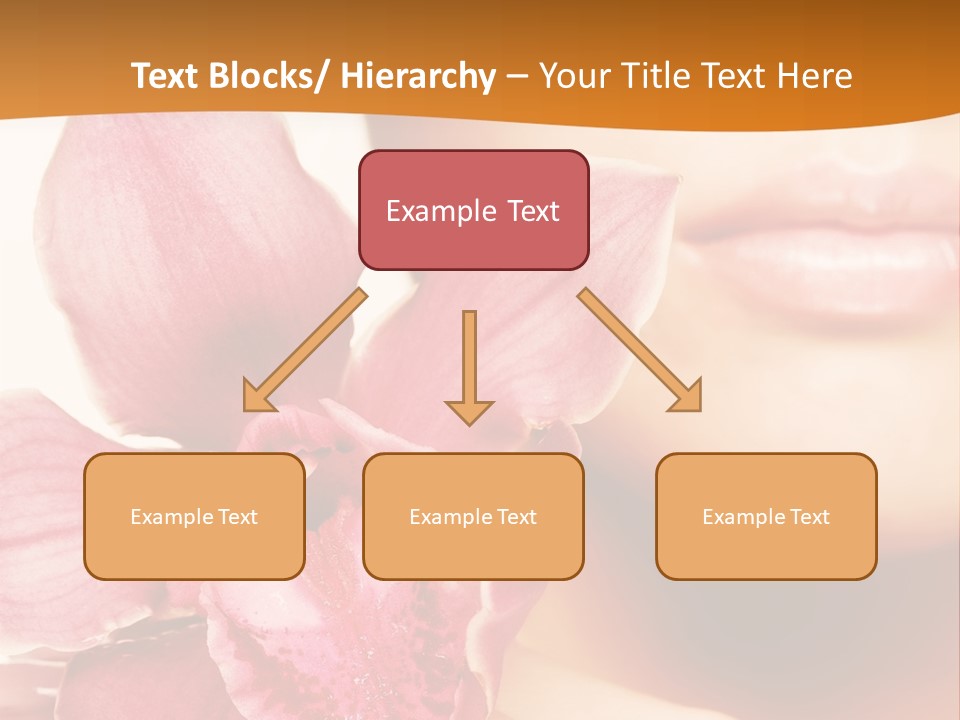 Aroma Pink Model PowerPoint Template