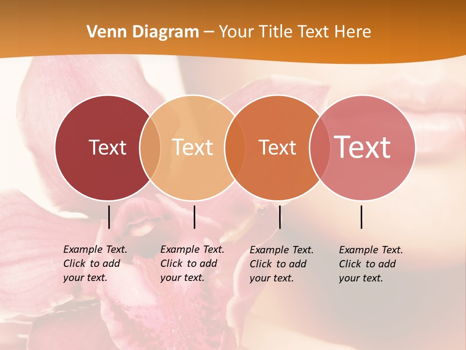 Aroma Pink Model PowerPoint Template