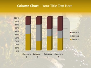 Leaf Cask Yard PowerPoint Template