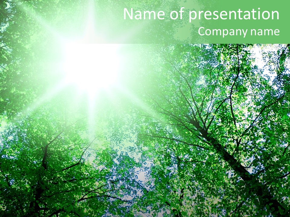 Pine Sunset Sunlight PowerPoint Template