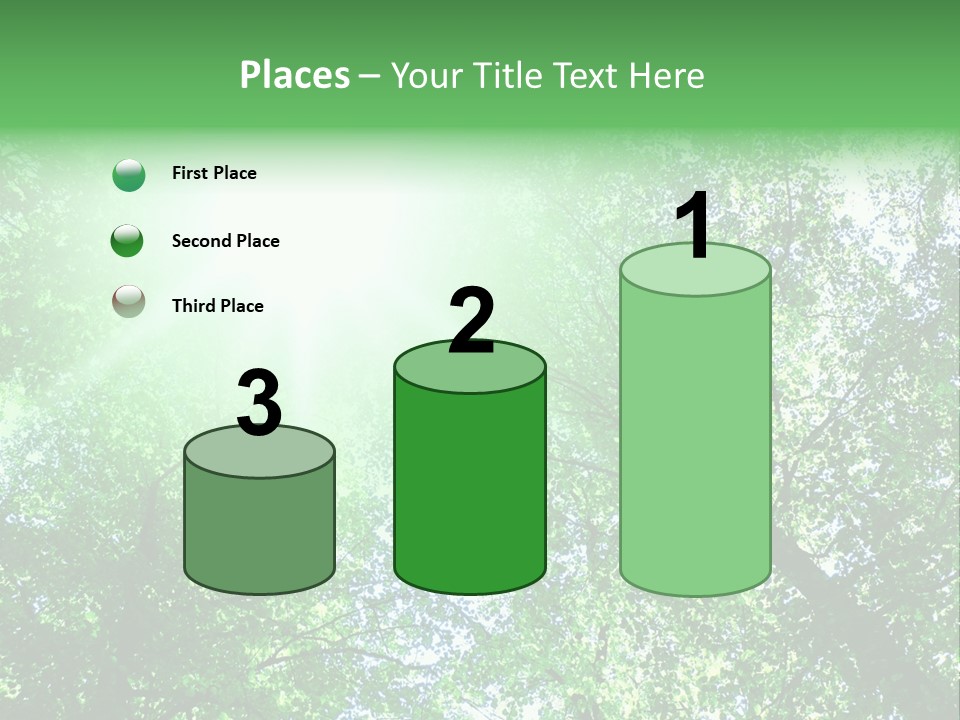 Pine Sunset Sunlight PowerPoint Template