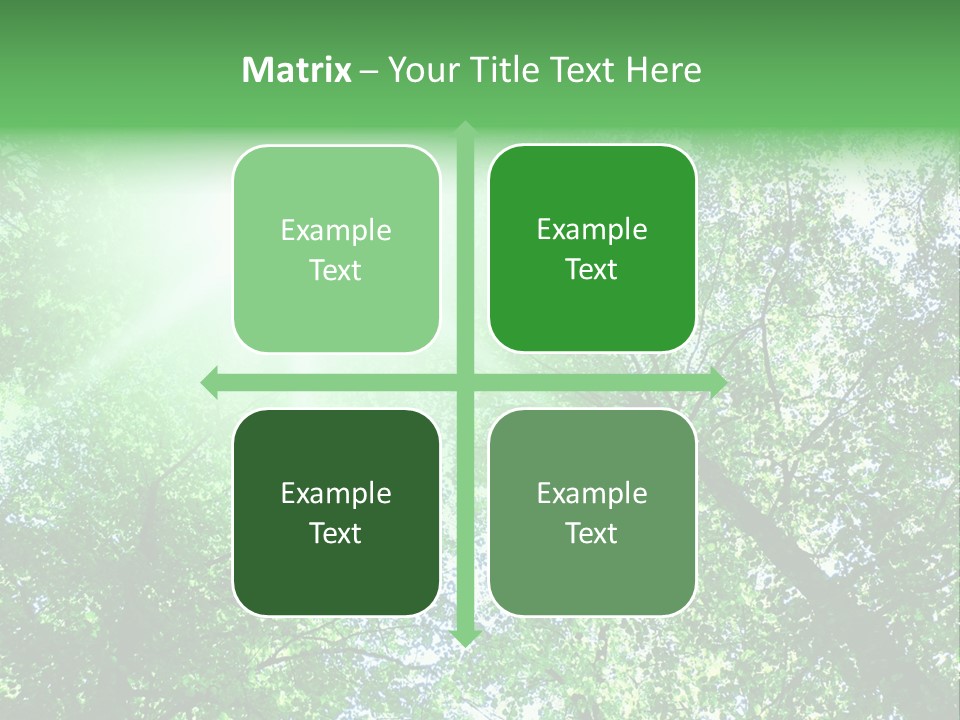 Pine Sunset Sunlight PowerPoint Template