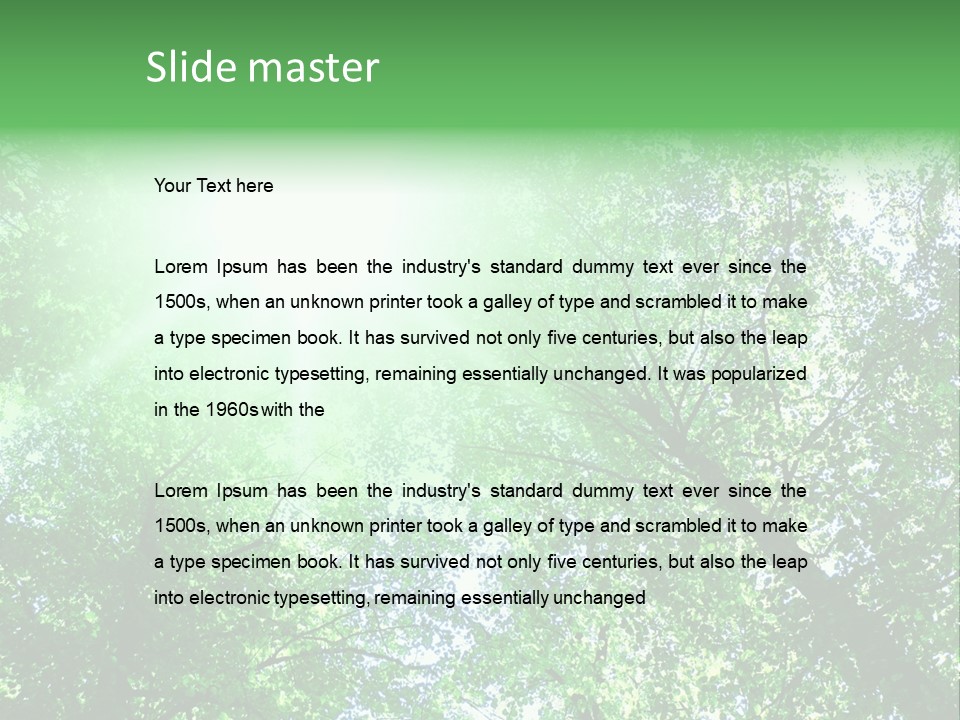 Pine Sunset Sunlight PowerPoint Template