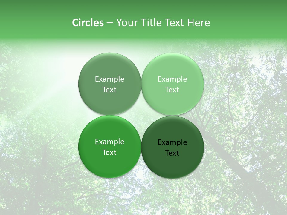 Pine Sunset Sunlight PowerPoint Template