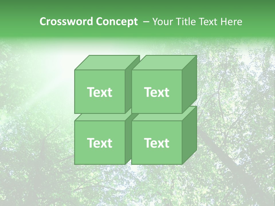 Pine Sunset Sunlight PowerPoint Template