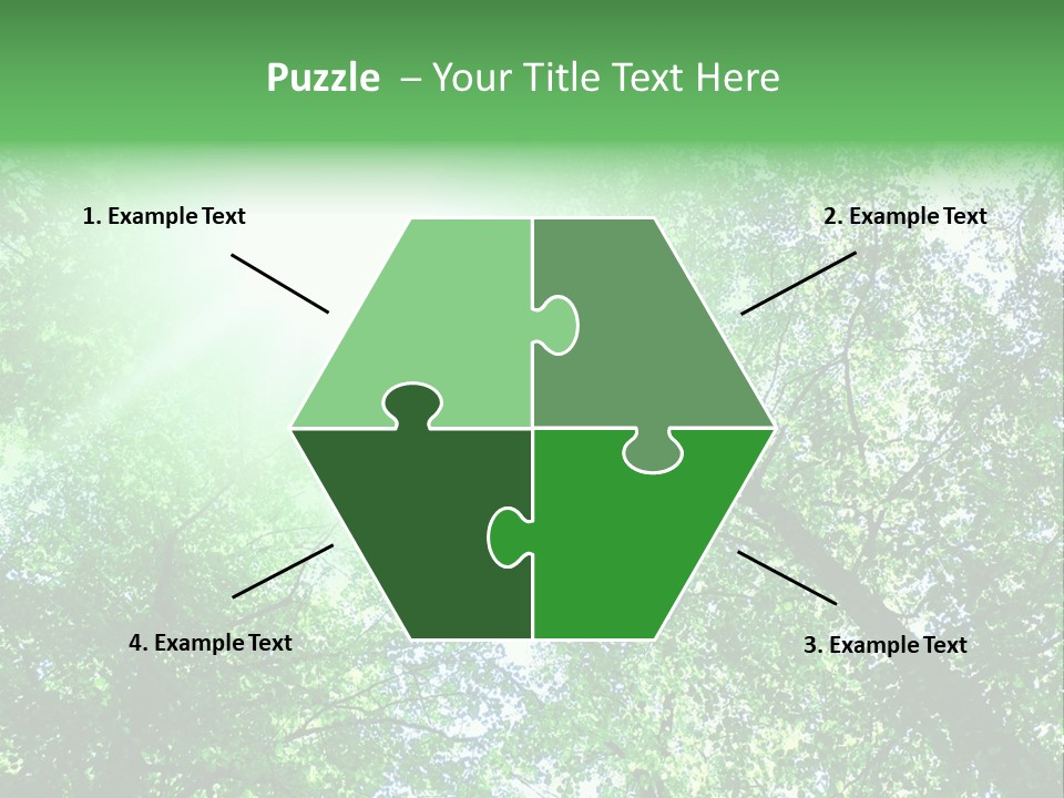 Pine Sunset Sunlight PowerPoint Template