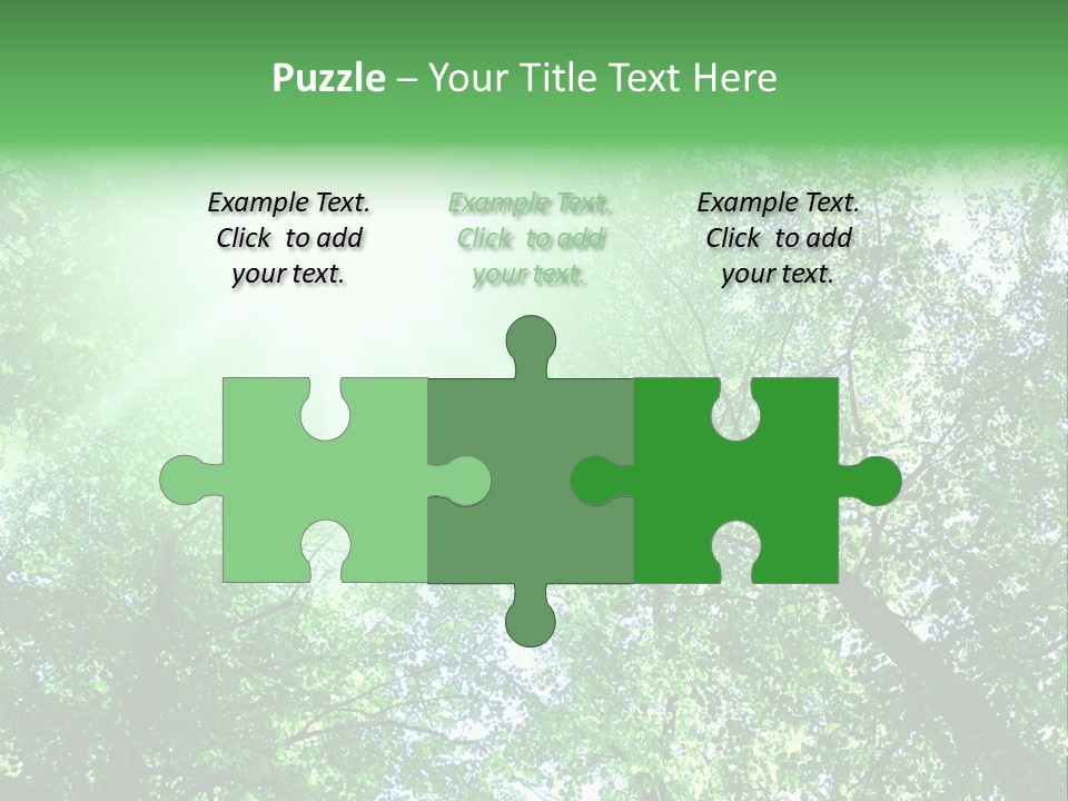 Pine Sunset Sunlight PowerPoint Template