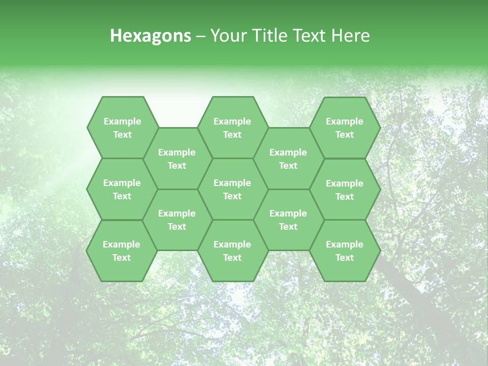 Pine Sunset Sunlight PowerPoint Template