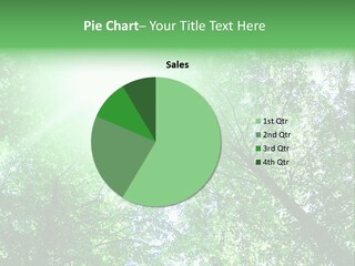 Pine Sunset Sunlight PowerPoint Template