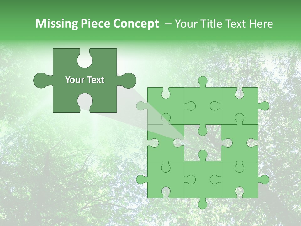 Pine Sunset Sunlight PowerPoint Template