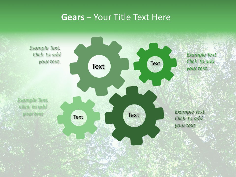 Pine Sunset Sunlight PowerPoint Template