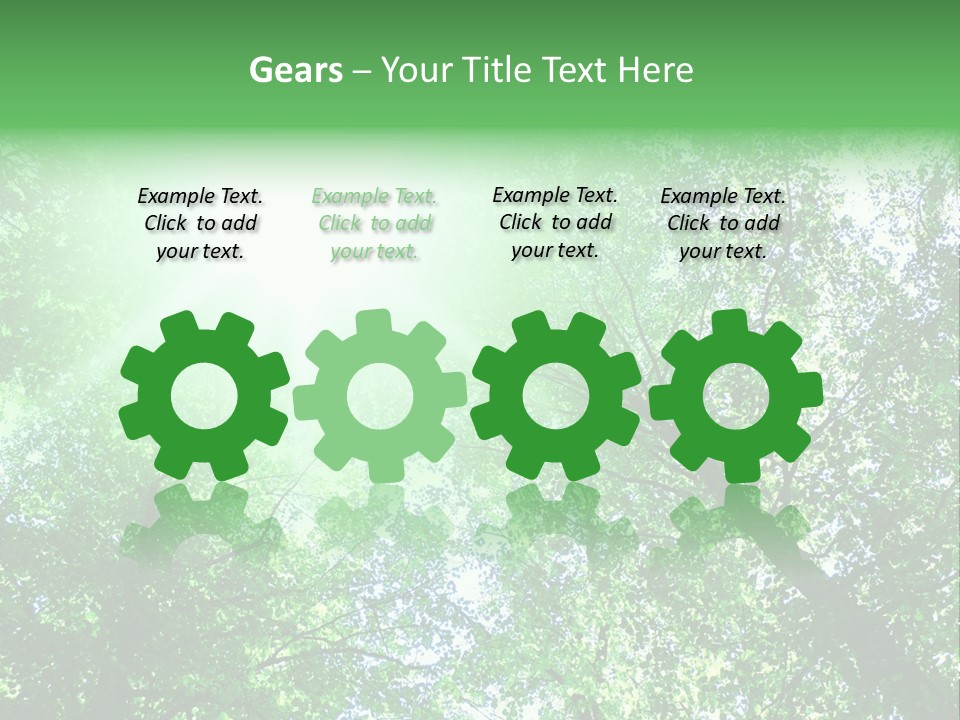 Pine Sunset Sunlight PowerPoint Template