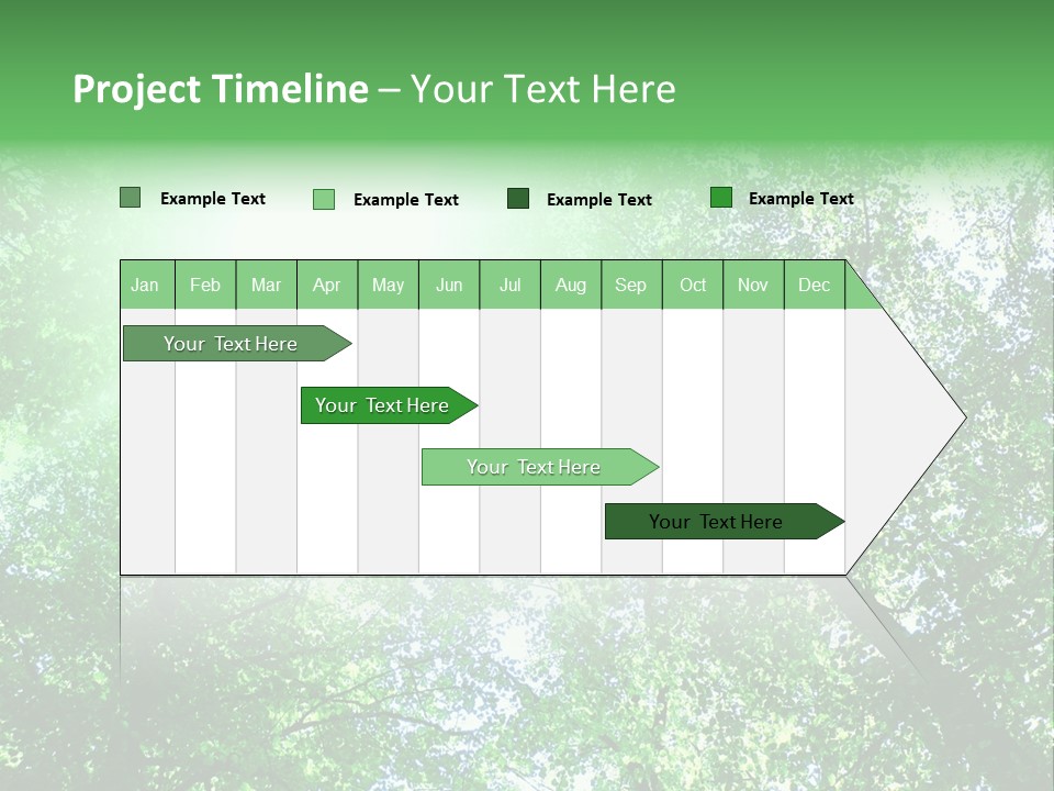 Pine Sunset Sunlight PowerPoint Template