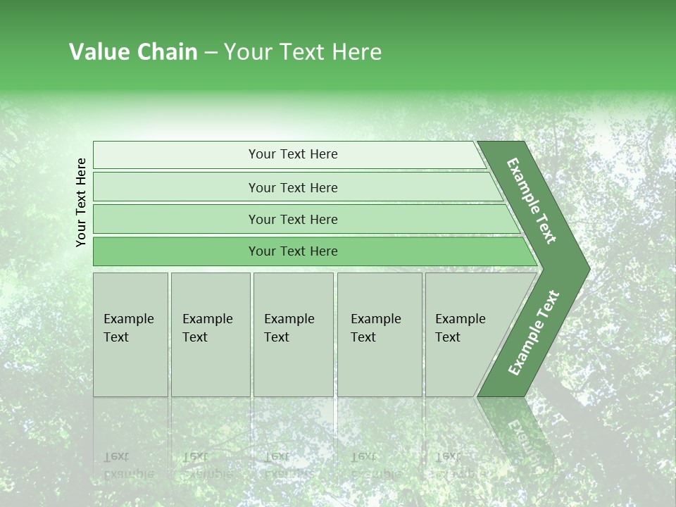 Pine Sunset Sunlight PowerPoint Template