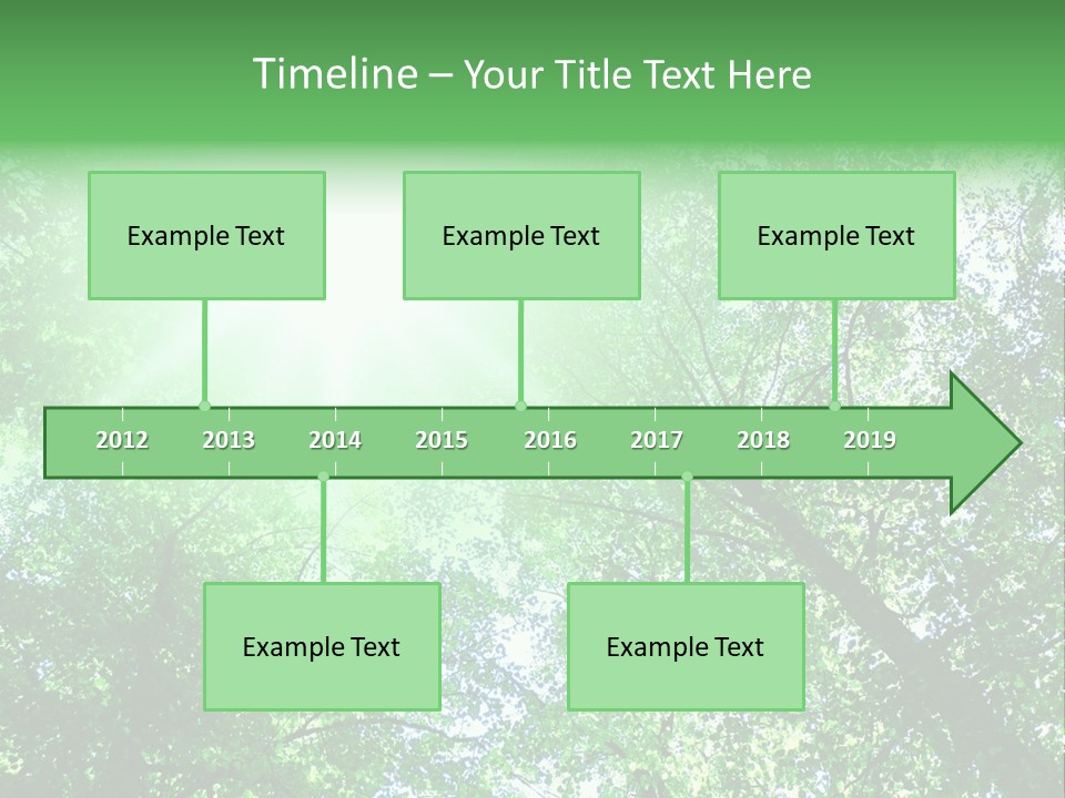 Pine Sunset Sunlight PowerPoint Template