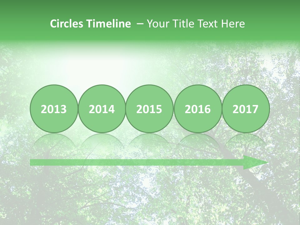 Pine Sunset Sunlight PowerPoint Template