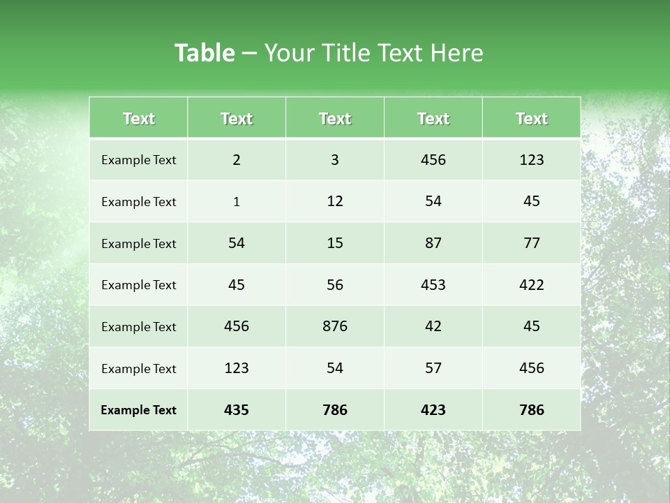 Pine Sunset Sunlight PowerPoint Template