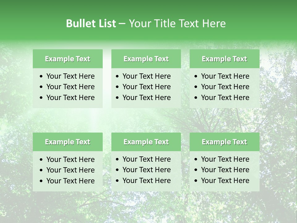 Pine Sunset Sunlight PowerPoint Template