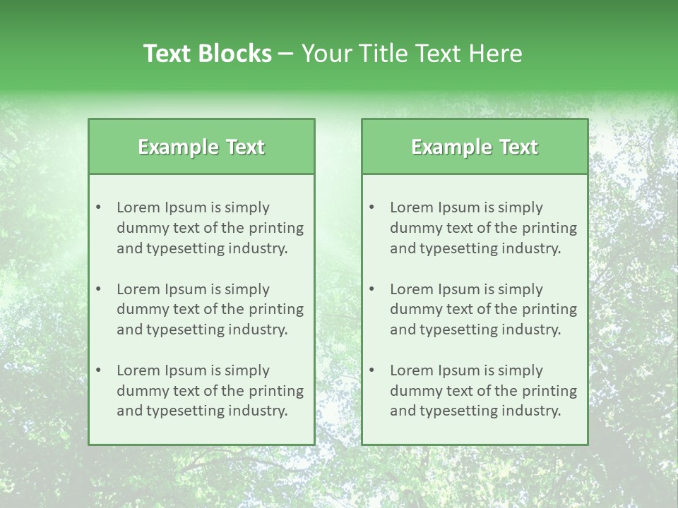 Pine Sunset Sunlight PowerPoint Template