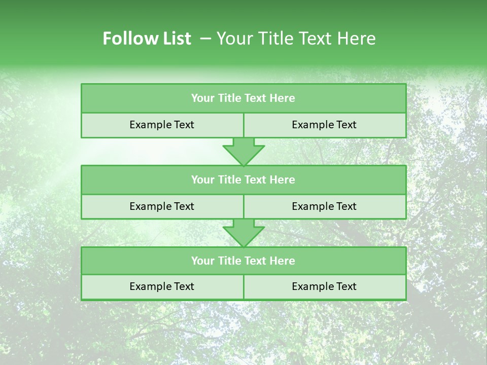 Pine Sunset Sunlight PowerPoint Template