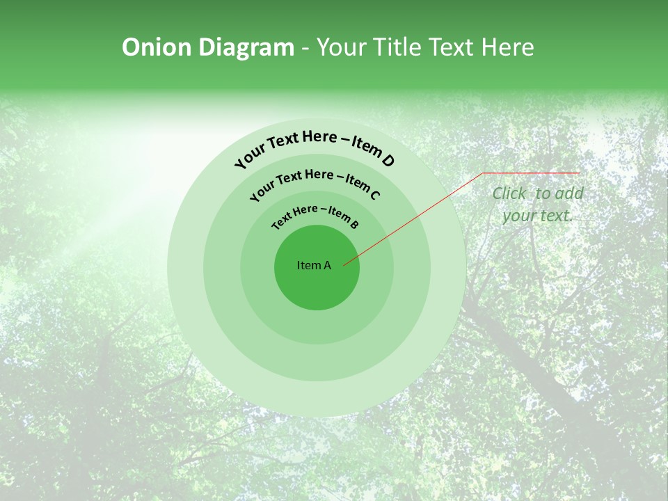 Pine Sunset Sunlight PowerPoint Template