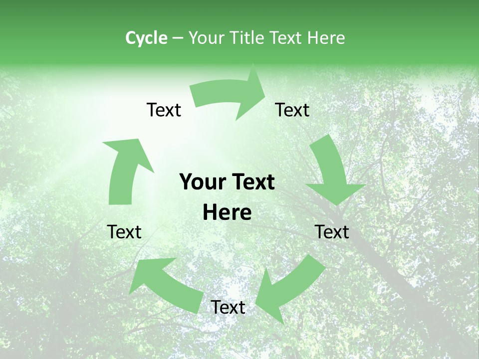 Pine Sunset Sunlight PowerPoint Template