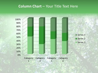 Pine Sunset Sunlight PowerPoint Template