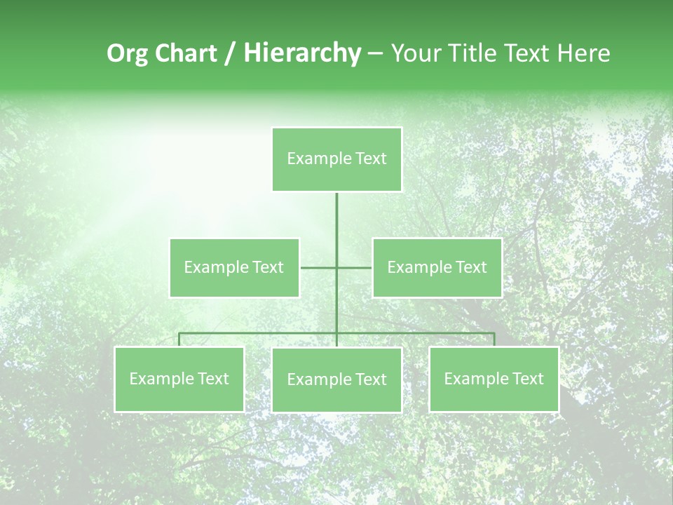 Pine Sunset Sunlight PowerPoint Template