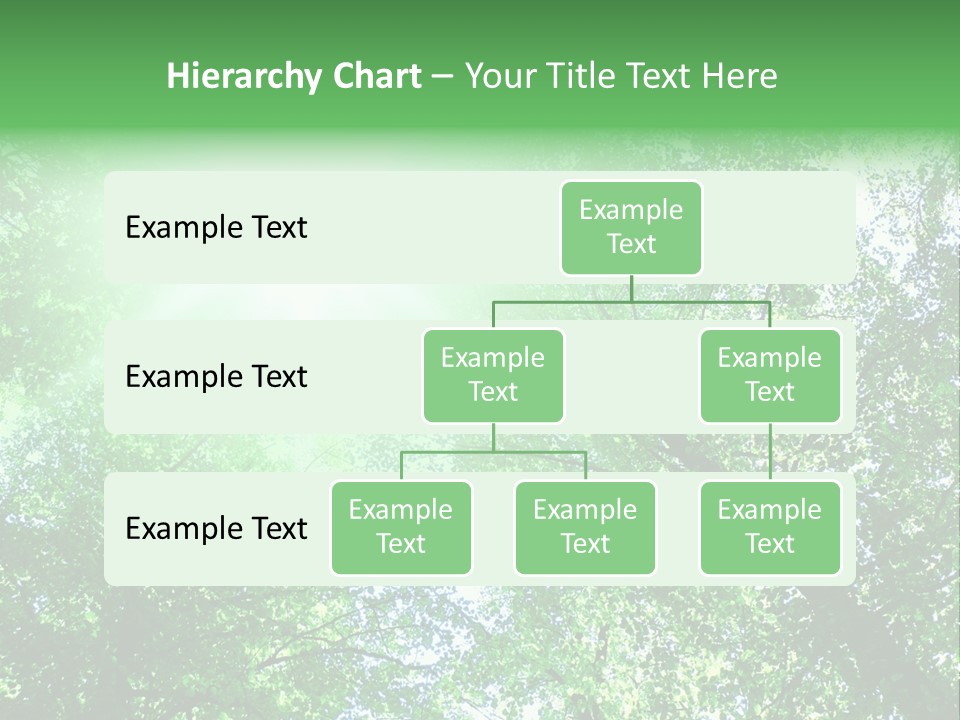 Pine Sunset Sunlight PowerPoint Template