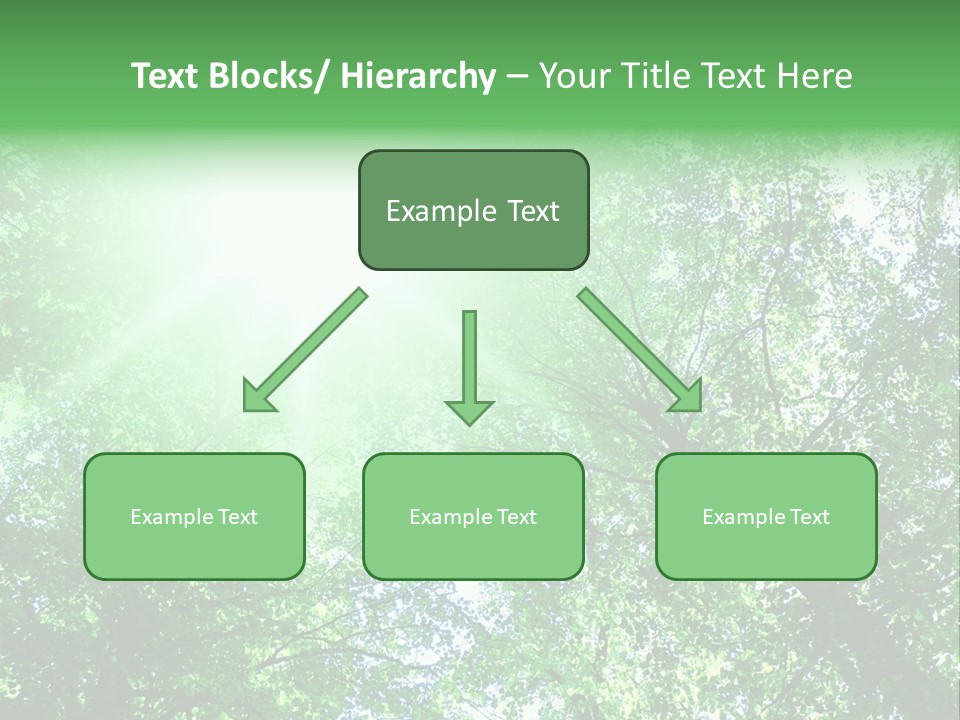Pine Sunset Sunlight PowerPoint Template