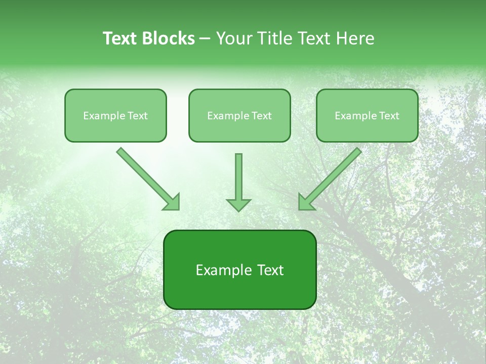 Pine Sunset Sunlight PowerPoint Template