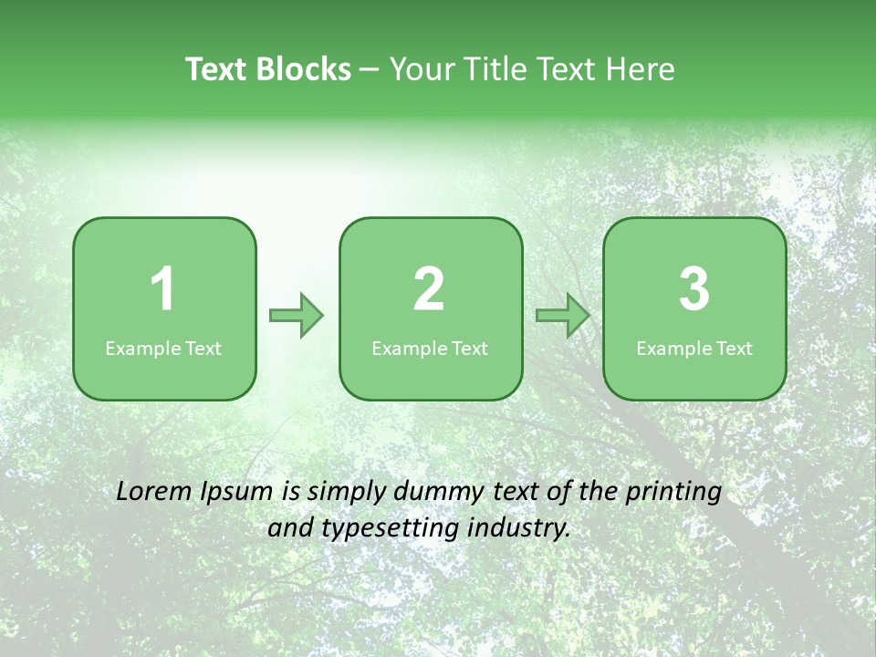 Pine Sunset Sunlight PowerPoint Template