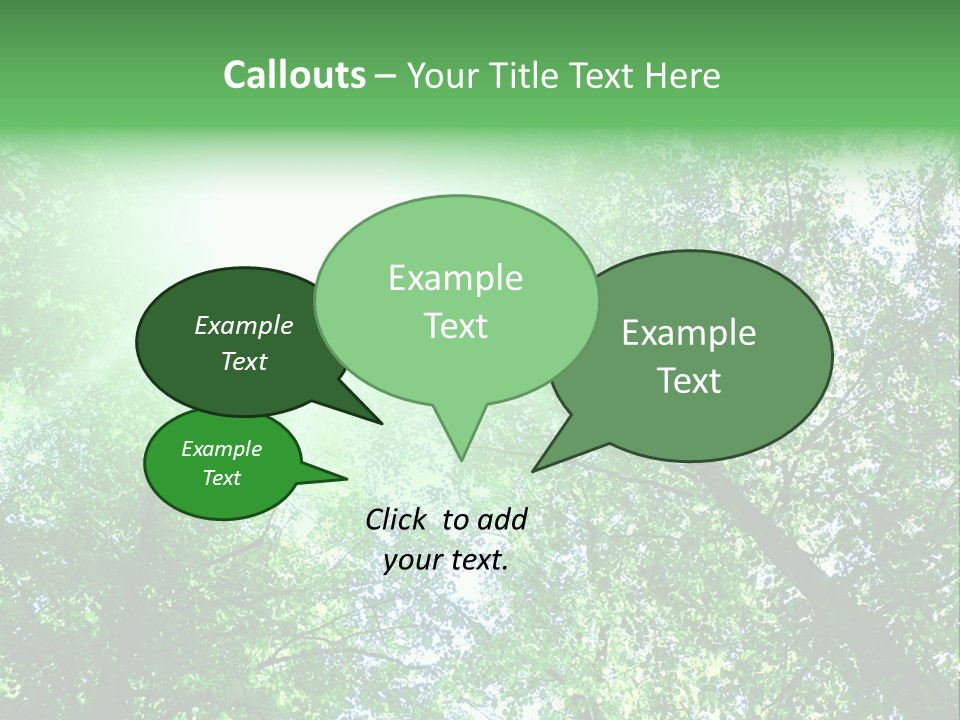 Pine Sunset Sunlight PowerPoint Template