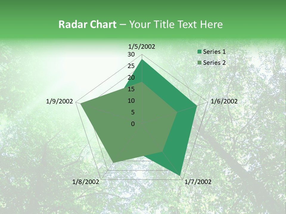 Pine Sunset Sunlight PowerPoint Template