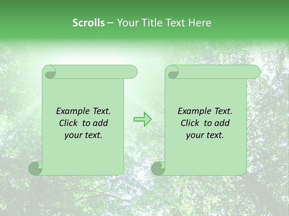 Pine Sunset Sunlight PowerPoint Template