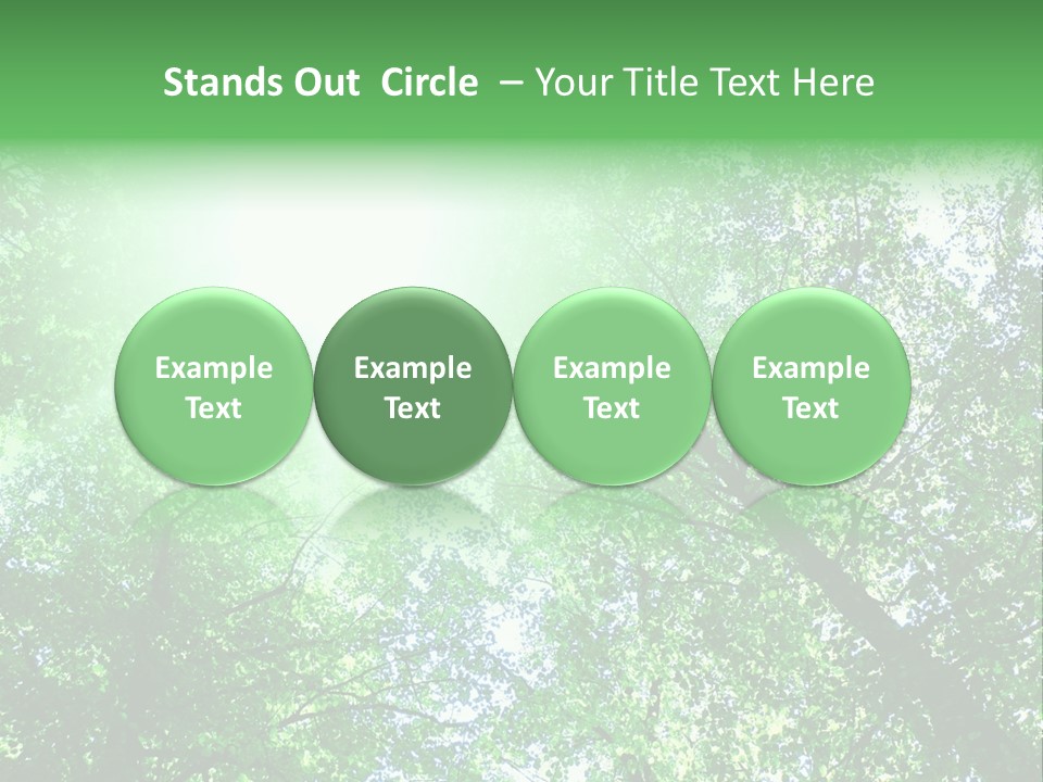 Pine Sunset Sunlight PowerPoint Template