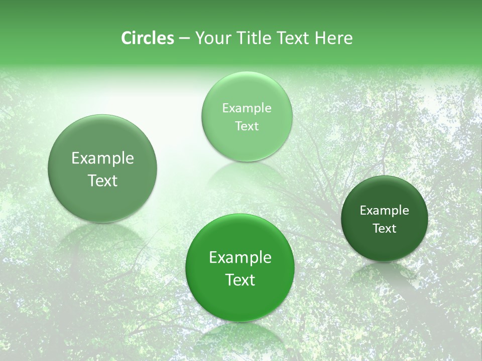 Pine Sunset Sunlight PowerPoint Template