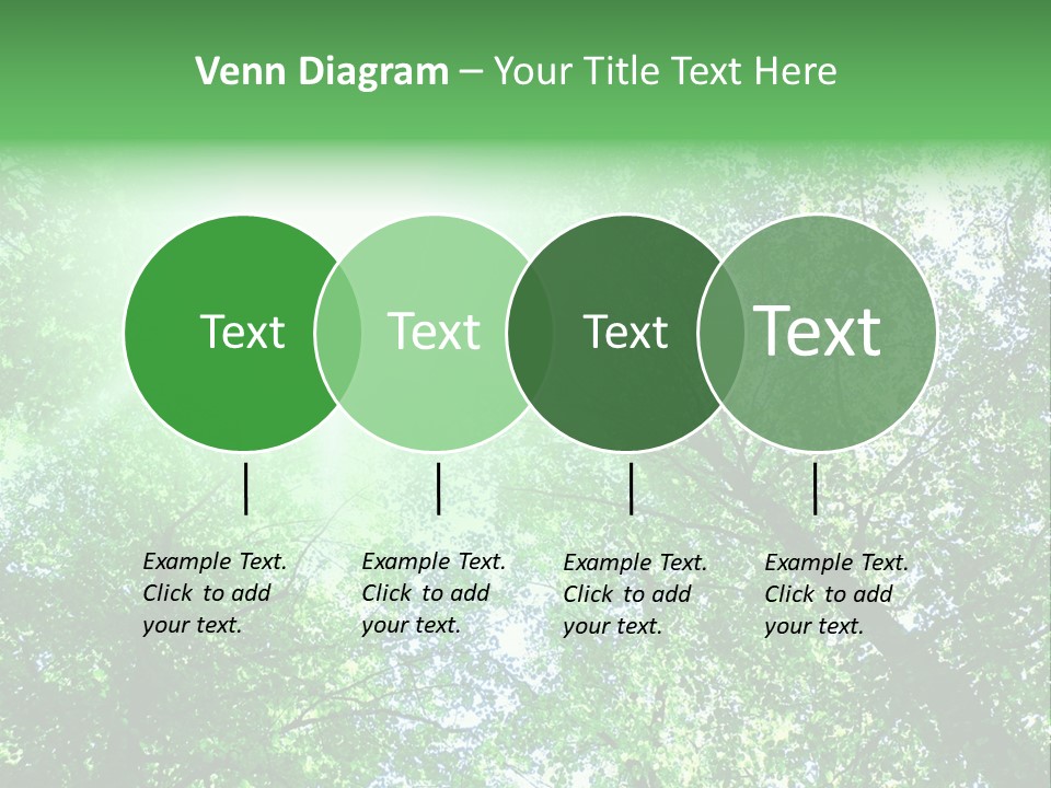 Pine Sunset Sunlight PowerPoint Template
