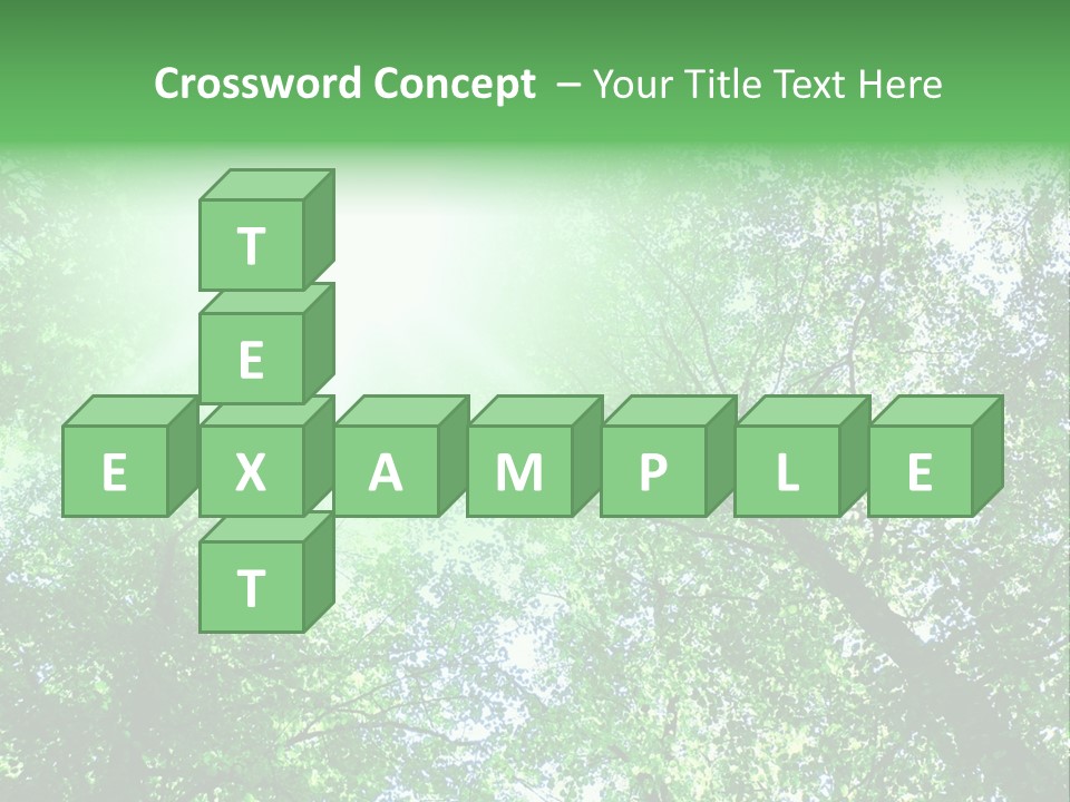 Pine Sunset Sunlight PowerPoint Template