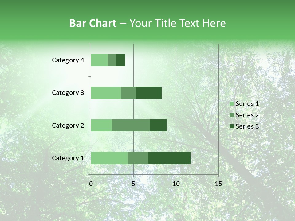 Pine Sunset Sunlight PowerPoint Template