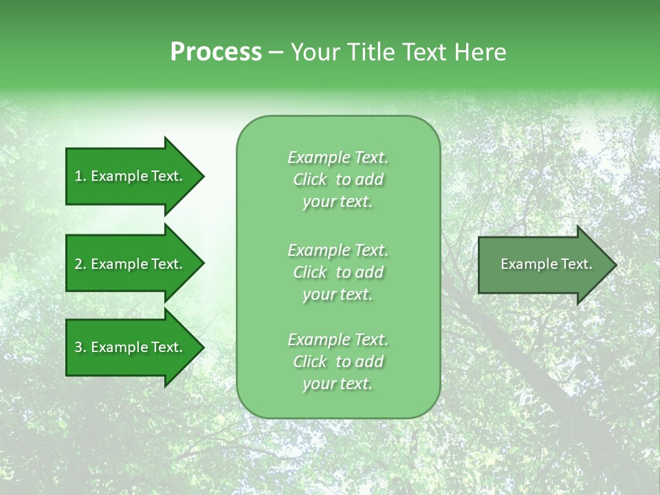 Pine Sunset Sunlight PowerPoint Template