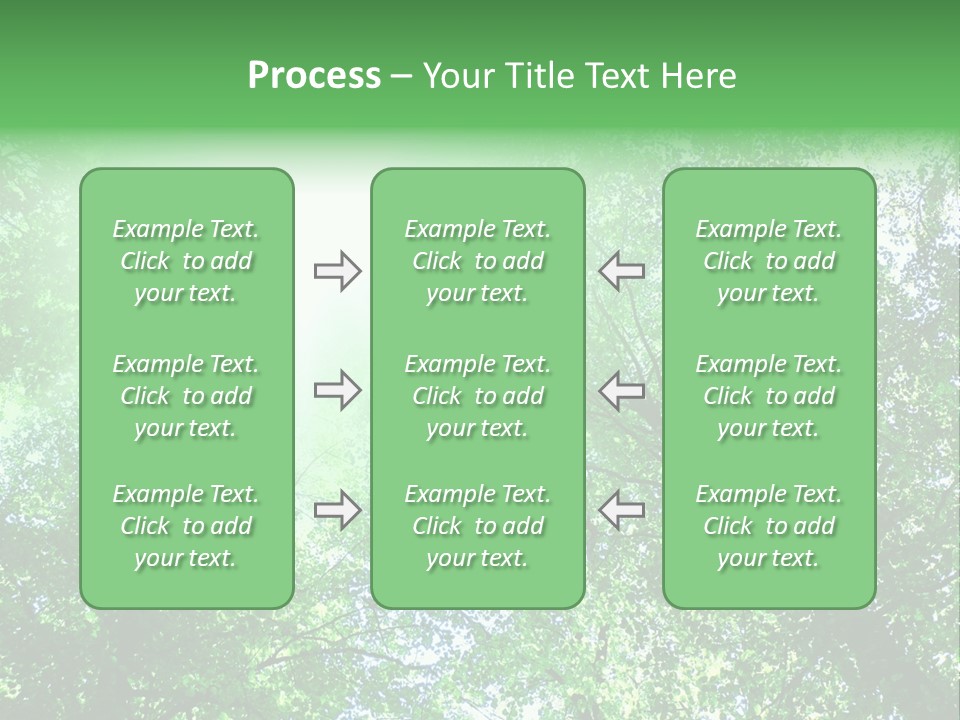 Pine Sunset Sunlight PowerPoint Template